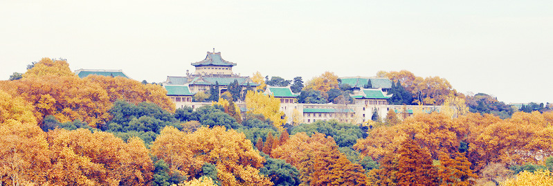 武汉.jpg