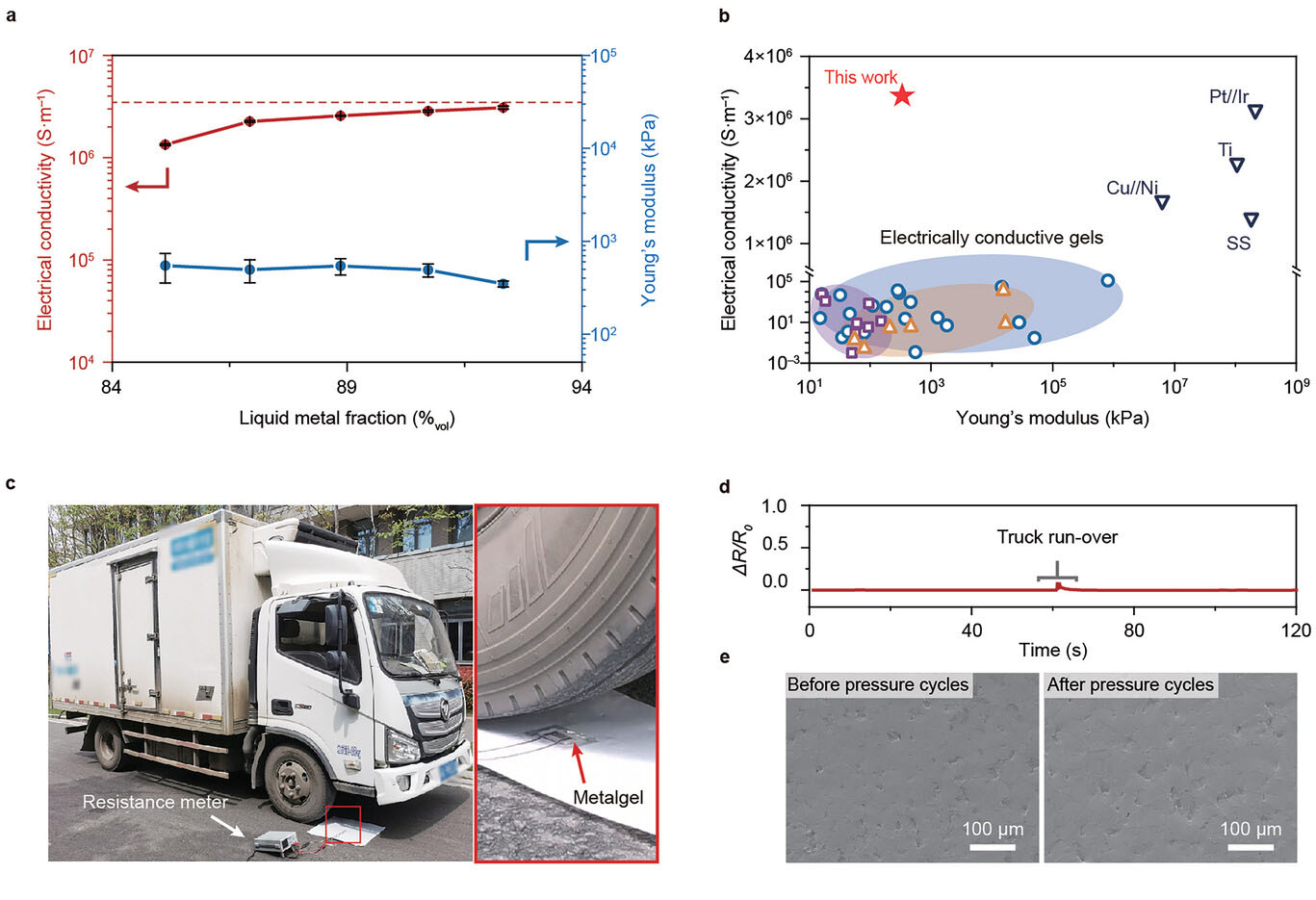 Electrical and mechanical properties of metalgel
